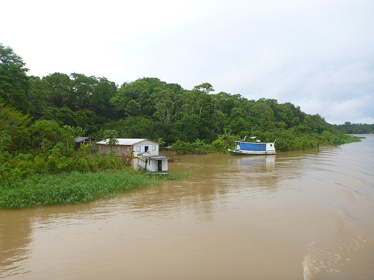 Le pianure alluvionali dell'Amazzonia contribuiscono fino al 29% delle emissioni globali di metano delle zone umide. Foto: Marcelo Castro Attribution 3.0 Unported CC BY 3.0 Deed