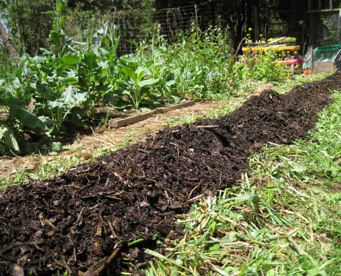 Applicazione di biochar nel suolo. Secondo le stime, le pratiche di carbon farming dovrebbero garantire un risparmio complessivo di 42 milioni di tonnellate di CO2 nella UE entro il 2030. Foto: Zack Dowell Attribution-NonCommercial-ShareAlike 2.0 Generic CC BY-NC-SA 2.0 Deed