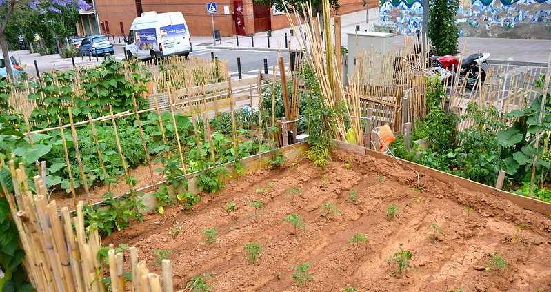 Compost from organic waste can cover 21% of the nutrient demand in urban soils with a strong cut in environmental impact. Photo: Oh-Barcelona.com Attribution 2.0 Generic CC BY 2.0 Deed