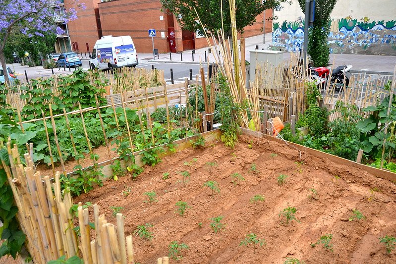 Il compost può soddisfare un quinto del fabbisogno dei nutrienti nei suoli agricoli urbani di Barcellona con una forte riduzione dell'impatto ambientale Foto: Oh-Barcelona.com Attribution 2.0 Generic CC BY 2.0 Deed