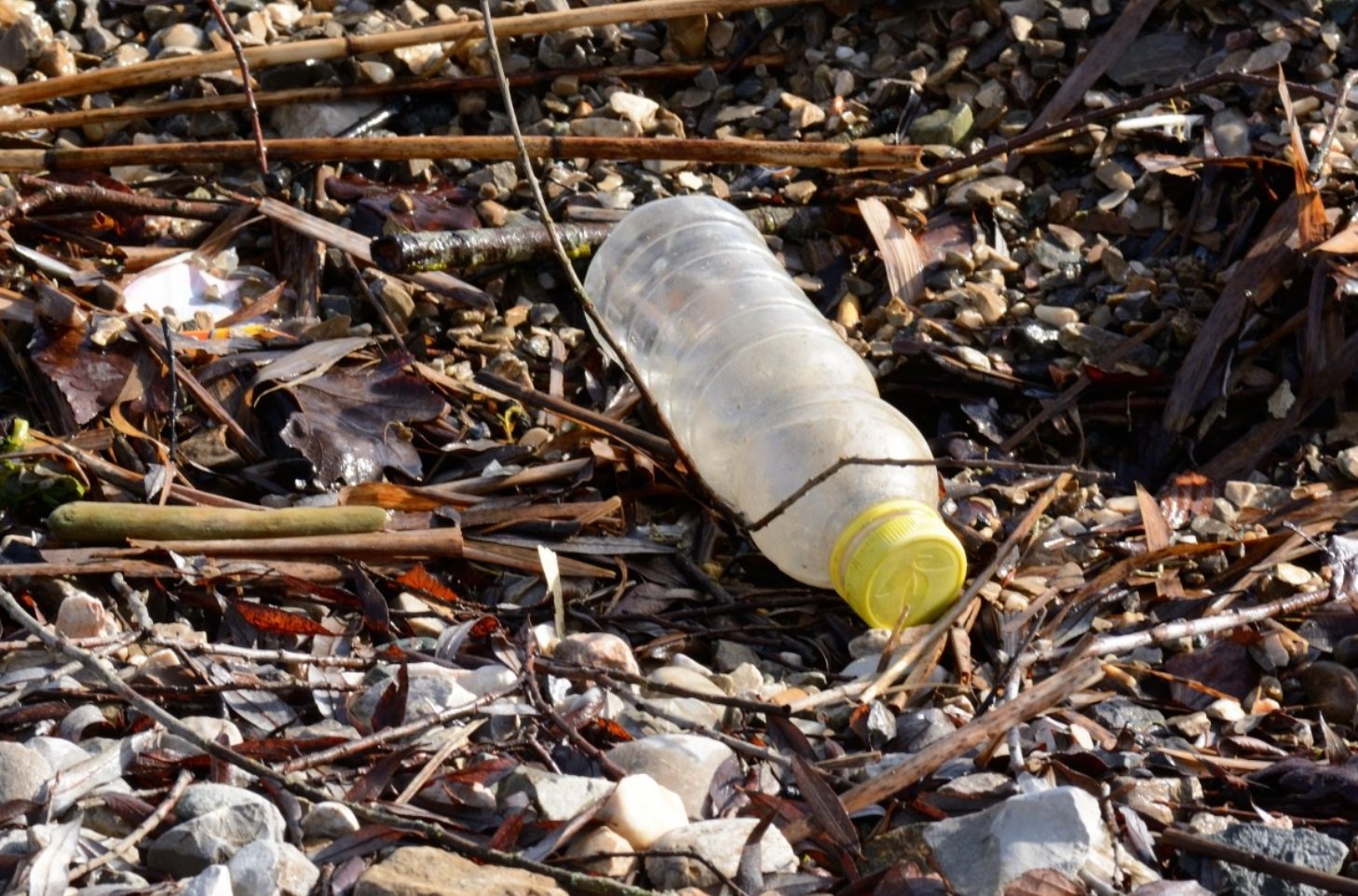 L'inquinamento da metalli pesanti, pesticidi, microplastiche e nanoplastiche provoca danni cardiovascolari interagendo con i tioli legati alle proteine, inducendo stress ossidativo e infiammazione e alterando i ritmi circadiani. Foto: PXHERE CC0 Public Domain Free for personal and commercial use No attribution required