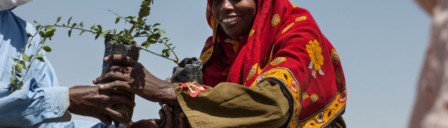 Women produce up to 80 per cent of the food in developing countries but account for less than 20 per cent of those who own land. Photo: AMPLED, UNCCD Press Office