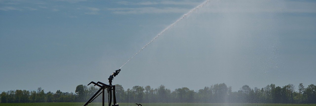 Il comparto agricolo italiano consuma in media 17 miliardi di metri cubi d'acqua ogni anno. FOTO: Anrita from Pixabay