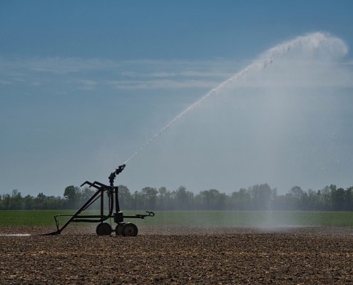 Il comparto agricolo italiano consuma in media 17 miliardi di metri cubi d'acqua ogni anno. FOTO: Anrita from Pixabay
