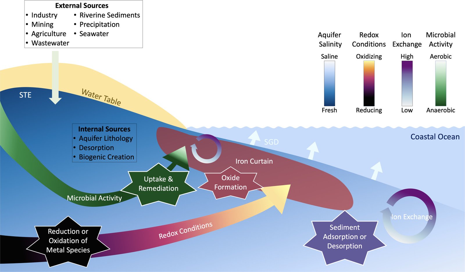 I principali processi che influenzano il comportamento dei metalli nell'estuario sotterraneo. Fonte: Mckenzie et al. "Metals in coastal groundwater systems under anthropogenic pressure: a synthesis of behavior, drivers, and emerging threats", Limnology and Oceanography Letters, Volume9, Numero4, Agosto 2024 https://doi.org/10.1002/lol2.10413 Open Access Attribution 4.0 International CC BY 4.0 Deed