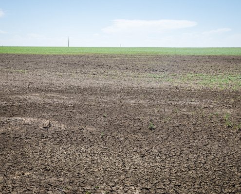 Degraded soil promotes ‘hidden hunger’ that occurs when food quality does not meet nutritional requirements Photo: USDA NRCS South Dakota Attribution-ShareAlike 2.0 Generic CC BY-SA 2.0 Deed