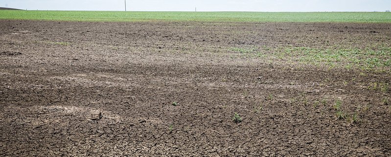 Un suolo degradato favorisce la "fame nascosta" che si verifica quando la qualità del cibo non soddisfa i requisiti nutrizionali Foto: USDA NRCS South Dakota Attribution-ShareAlike 2.0 Generic CC BY-SA 2.0 Deed