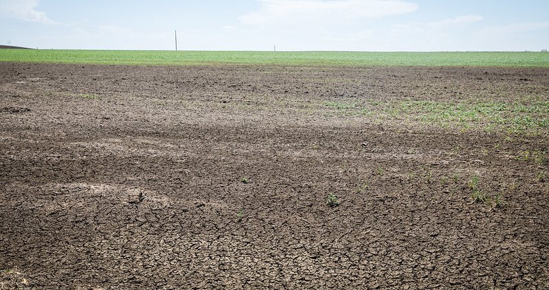 Un suolo degradato favorisce la "fame nascosta" che si verifica quando la qualità del cibo non soddisfa i requisiti nutrizionali Foto: USDA NRCS South Dakota Attribution-ShareAlike 2.0 Generic CC BY-SA 2.0 Deed