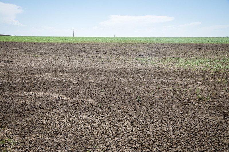 Un suolo degradato favorisce la "fame nascosta" che si verifica quando la qualità del cibo non soddisfa i requisiti nutrizionali Foto: USDA NRCS South Dakota Attribution-ShareAlike 2.0 Generic CC BY-SA 2.0 Deed