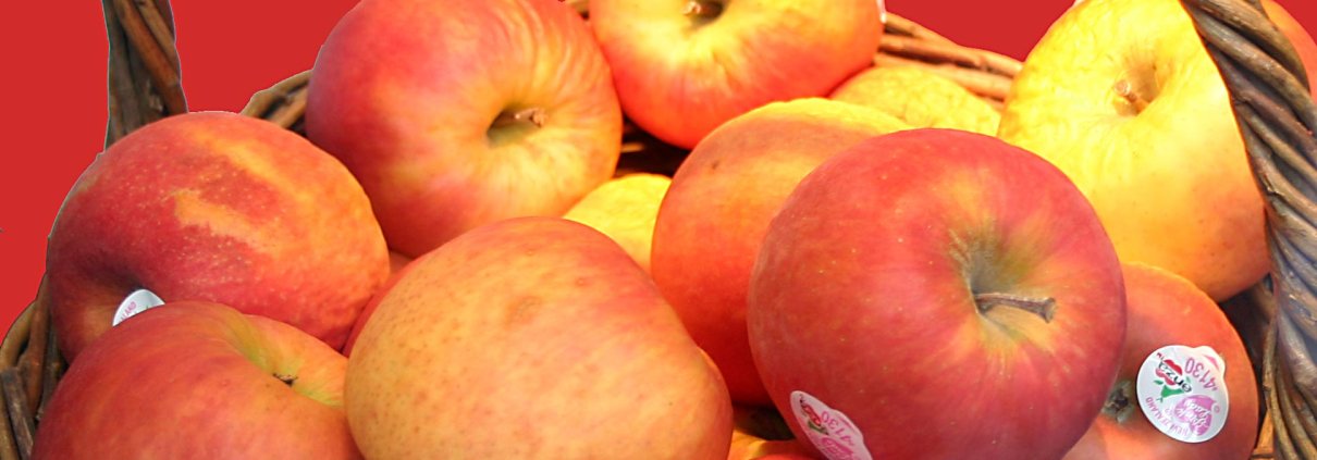 Nati per identificare e tracciare con precisione i prodotti freschi, gli adesivi su frutta e verdura, se non realizzati in materiale compostabile, rischiano di essere un ostacolo al riciclo organico degli scarti alimentari. FOTO: CC BY-SA 2.0 de, https://commons.wikimedia.org/w/index.php?curid=362625