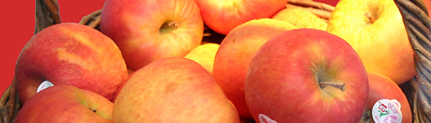 Nati per identificare e tracciare con precisione i prodotti freschi, gli adesivi su frutta e verdura, se non realizzati in materiale compostabile, rischiano di essere un ostacolo al riciclo organico degli scarti alimentari. FOTO: CC BY-SA 2.0 de, https://commons.wikimedia.org/w/index.php?curid=362625