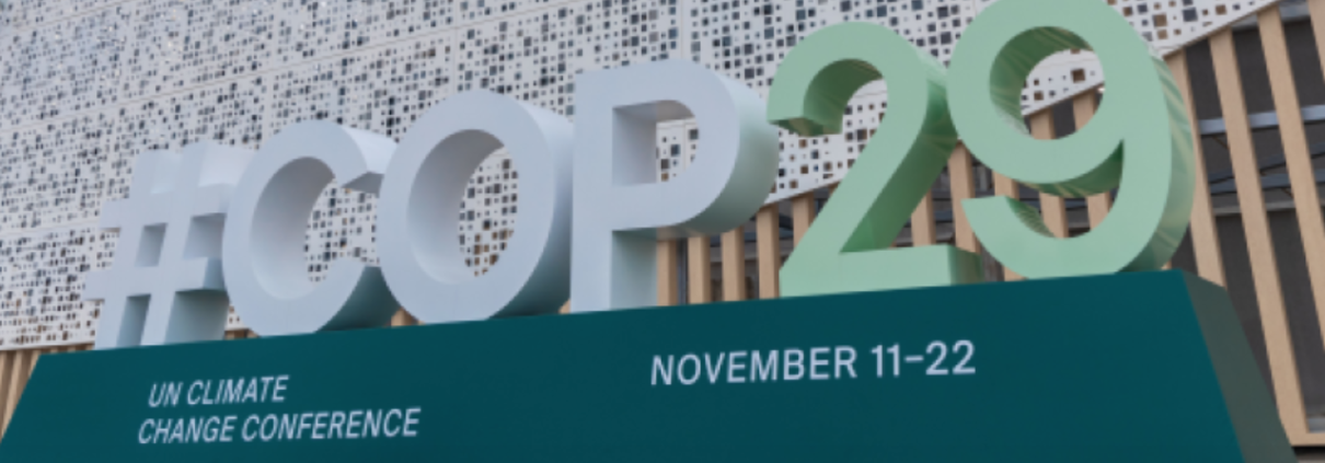 La consueta conferenza sul clima, che quest'anno si tiene a Baku in Azerbaijan, si apre con la notizia che il 2024 è il primo anno che già ha superato la soglia di 1,5°C di aumento della temperatura terrestre. FOTO: Cop29 Media Gallery
