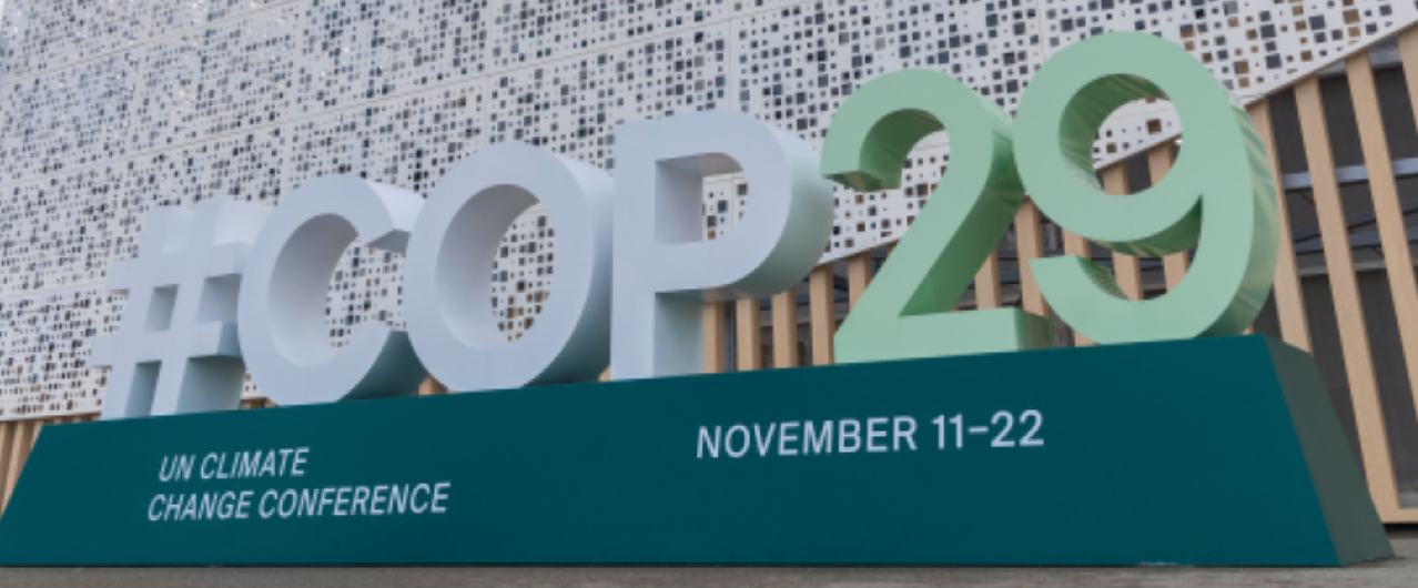 La consueta conferenza sul clima, che quest'anno si tiene a Baku in Azerbaijan, si apre con la notizia che il 2024 è il primo anno che già ha superato la soglia di 1,5°C di aumento della temperatura terrestre. FOTO: Cop29 Media Gallery