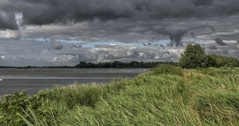 Tra gli eventi meteo, nei Paesi Bassi, la siccità ha ridotto la resa del 24% rispetto alla media, le piogge durante la semina l'hanno abbassata del 18%. Foto: Paul van de Velde Attribution 2.0 Generic CC BY 2.0 Deed