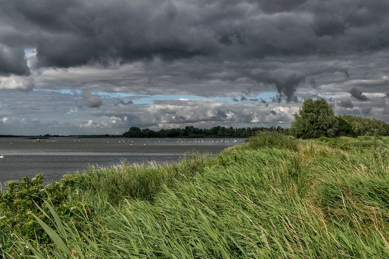 Tra gli eventi meteo, nei Paesi Bassi, la siccità ha ridotto la resa del 24% rispetto alla media, le piogge durante la semina l'hanno abbassata del 18%. Foto: Paul van de Velde Attribution 2.0 Generic CC BY 2.0 Deed
