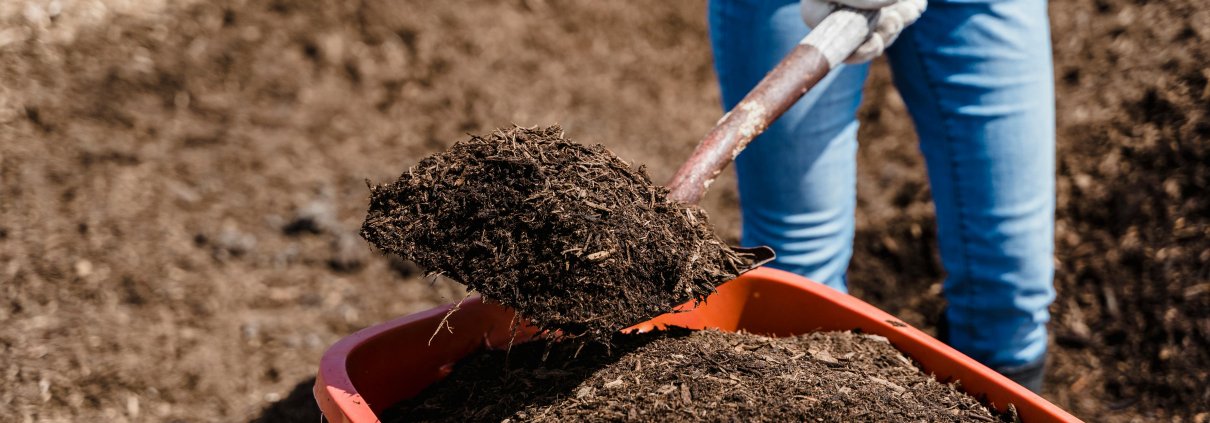 FOTO: Greta Hoffman - Pexels.