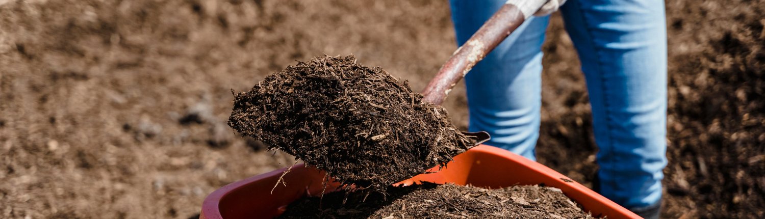 FOTO: Greta Hoffman - Pexels.