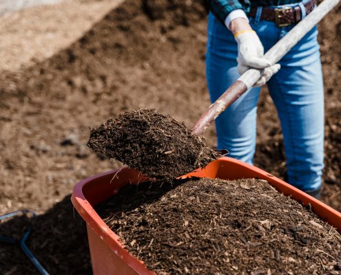 FOTO: Greta Hoffman - Pexels.