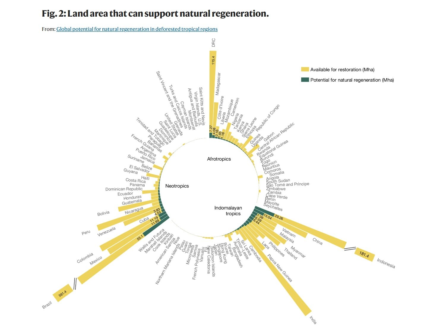 Global potential for natural regeneration in deforested tropical regions. The area of land that can support natural forest regeneration shown in green, with the total land area available for forest restoration shown in yellow (in Mha) for countries located at least in part within humid tropical and subtropical forest biomes. Source: Williams, B.A., Beyer, H.L., Fagan, M.E. et al. Global potential for natural regeneration in deforested tropical regions. Nature (2024). https://doi.org/10.1038/s41586-024-08106-4, October. 2024 Open access 