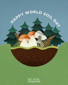 re soil world soil day