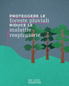 re soil forest malattie respiratorie
