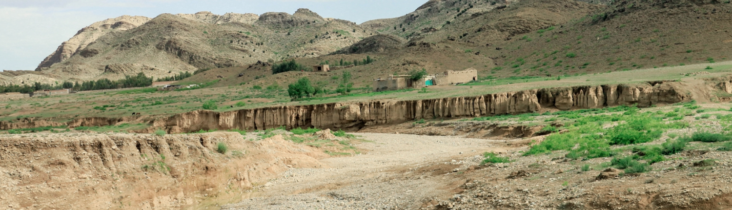 Si stima che 3,2 miliardi di persone vivano attualmente su terreni degradati e sottoposti a desertificazione. Un numero che rappresenta più del 10% del volume totale di terra sul nostro pianeta. ©FAO/Sahil