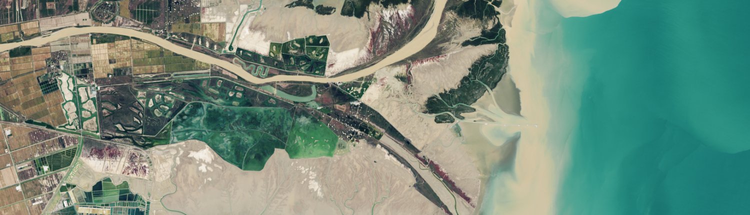 Lo studio si è concentrato sul delta dei Fiume Giallo dove le radici delle piante influenzano positivamente il movimento dell’acqua Foto: NASA Earth Observatory images by Lauren Dauphin, using Landsat data from the U.S. Geological Survey. Public domain