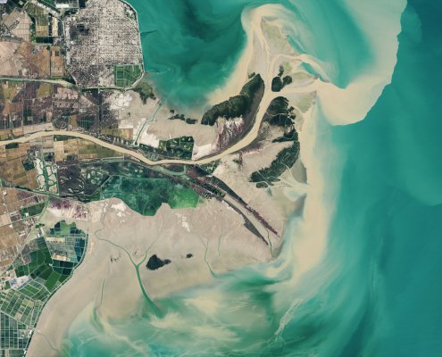 Lo studio si è concentrato sul delta dei Fiume Giallo dove le radici delle piante influenzano positivamente il movimento dell’acqua Foto: NASA Earth Observatory images by Lauren Dauphin, using Landsat data from the U.S. Geological Survey. Public domain