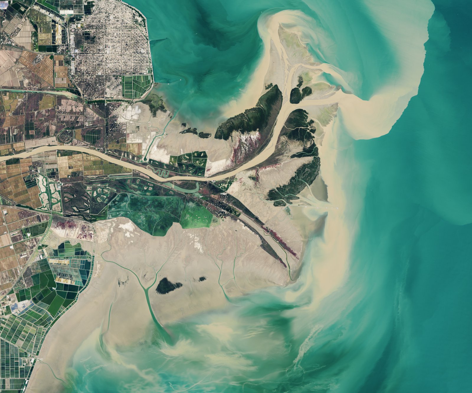 Lo studio si è concentrato sul delta dei Fiume Giallo dove le radici delle piante influenzano positivamente il movimento dell’acqua Foto: NASA Earth Observatory images by Lauren Dauphin, using Landsat data from the U.S. Geological Survey. Public domain