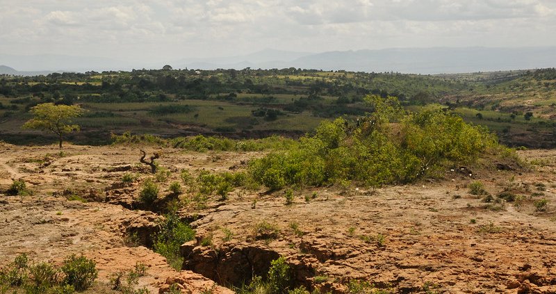 Worldwide, land degradation is growing by 1 million square kilometers per year, explains the Potsdam Institute for Climate Impact Research. Drylands include three-quarters of Africa. Photo. Aaron Minnick | World Resources Institute Attribution-NonCommercial-ShareAlike 2.0 Generic CC BY-NC-SA 2.0 Deed