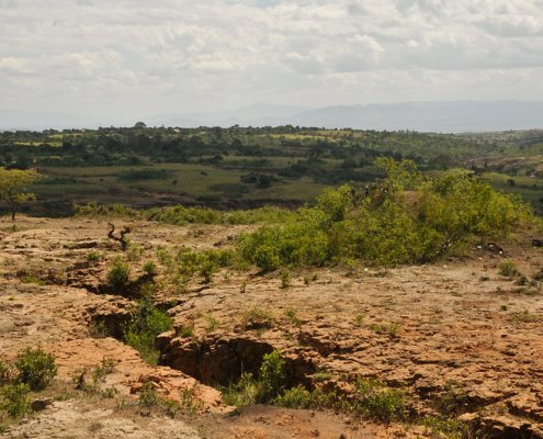 Nel mondo il degrado del territorio cresce di 1 milione di km2 all'anno, spiega l'Istituto di Potsdam per la ricerca sull'impatto climatico. Le zone secche comprendono tre quarti dell'Africa. Foto. Aaron Minnick | World Resources Institute Attribution-NonCommercial-ShareAlike 2.0 Generic CC BY-NC-SA 2.0 Deed
