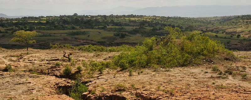Nel mondo il degrado del territorio cresce di 1 milione di km2 all'anno, spiega l'Istituto di Potsdam per la ricerca sull'impatto climatico. Le zone secche comprendono tre quarti dell'Africa. Foto. Aaron Minnick | World Resources Institute Attribution-NonCommercial-ShareAlike 2.0 Generic CC BY-NC-SA 2.0 Deed