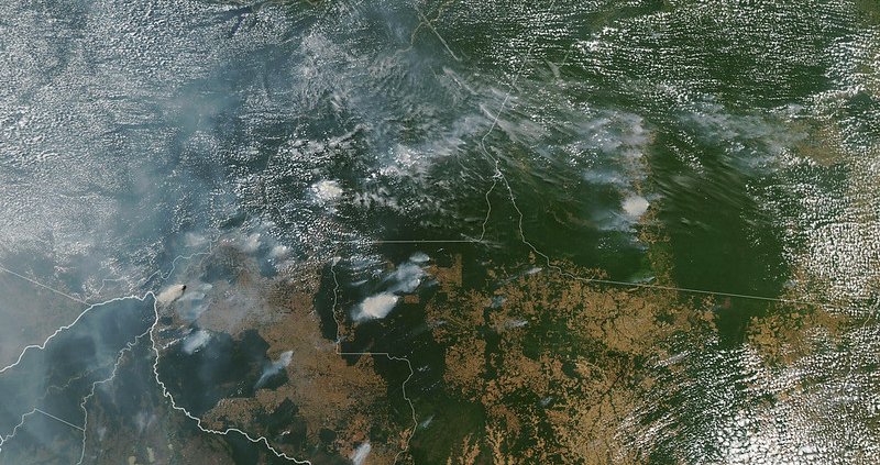 According to a study by the Universities of Bonn and Minas Gerais, forest destruction in the Amazon region is also harmful to human health. Photo: NASA Earth Observatory images by Lauren Dauphin Attribution 2.0 Generic CC BY 2.0 Deed