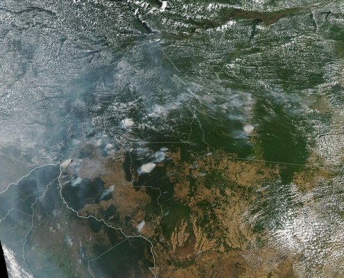 Secondo uno studio delle università di Bonn e Minas Gerais la disrtuzione delle foreste nella regione amazzonica è dannosa anche per la salute umana- Foto: NASA Earth Observatory images by Lauren Dauphin Attribution 2.0 Generic CC BY 2.0 Deed