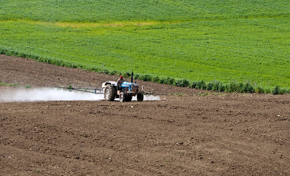 Il settore agricolo fronteggia oggi rilevanti pressioni economiche e ambientali per ridurre l'uso di erbicidi. Foto: Zeynel Cebeci Attribution-ShareAlike 4.0 International CC BY-SA 4.0 Deed