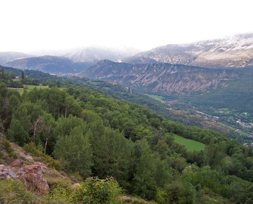Lo studio sui microbi si è concentrato sulle foreste dell'area mediterranea, una delle regioni europee più colpite dagli effetti del cambiamento climatico. Foto: TalkingTree2024 Attribution-NonCommercial-ShareAlike 2.0 Generic CC BY-NC-SA 2.0 Deed