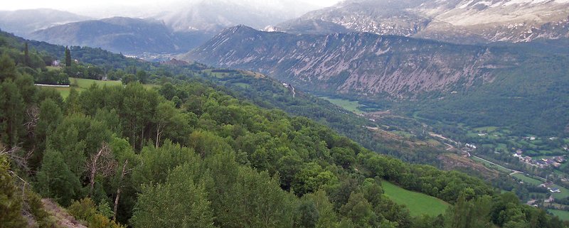 Lo studio sui microbi si è concentrato sulle foreste dell'area mediterranea, una delle regioni europee più colpite dagli effetti del cambiamento climatico. Foto: TalkingTree2024 Attribution-NonCommercial-ShareAlike 2.0 Generic CC BY-NC-SA 2.0 Deed