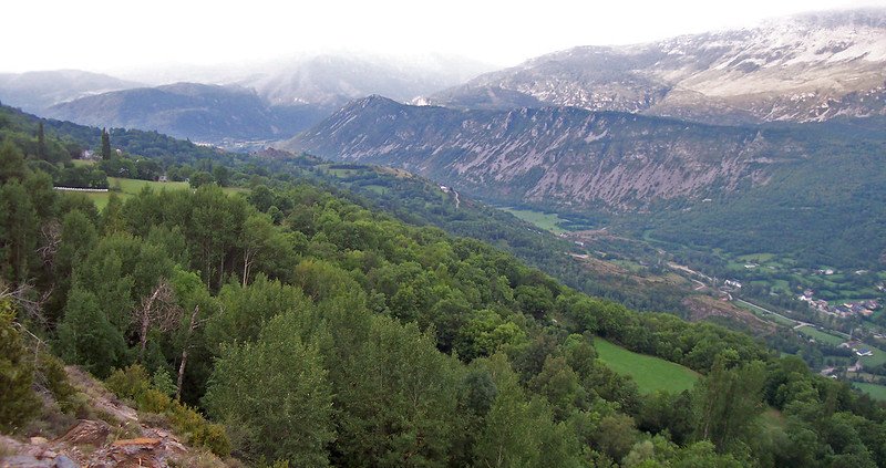 Lo studio sui microbi si è concentrato sulle foreste dell'area mediterranea, una delle regioni europee più colpite dagli effetti del cambiamento climatico. Foto: TalkingTree2024 Attribution-NonCommercial-ShareAlike 2.0 Generic CC BY-NC-SA 2.0 Deed