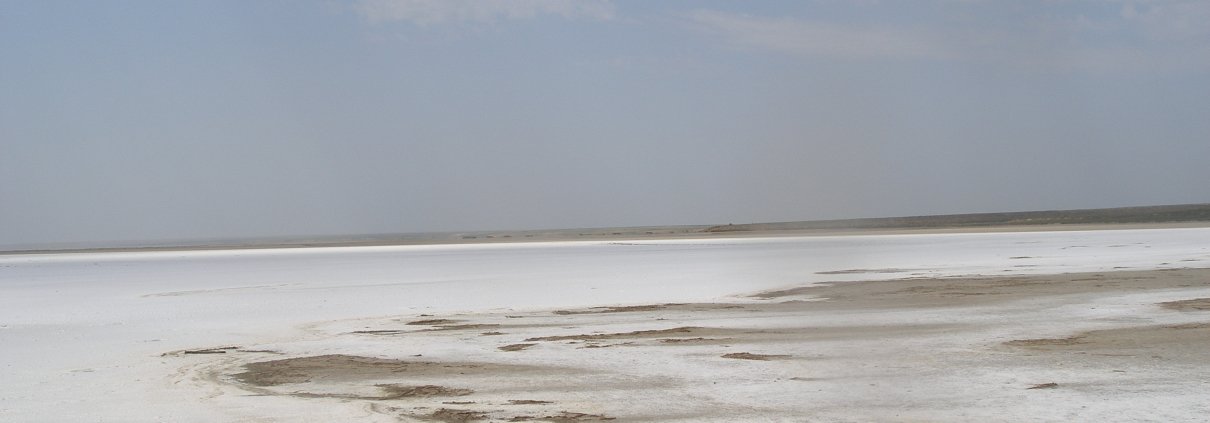 La crisi climatica e la cattiva gestione umana stanno contribuendo all’eccessiva salinizzazione che, secondo un nuovo rapporto Onu, colpisce oltre il 10% della superficie terrestre totale globale. FOTO: ©FAO/Maria Konyushkova