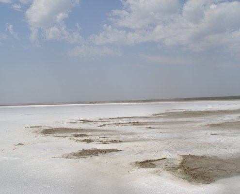 La crisi climatica e la cattiva gestione umana stanno contribuendo all’eccessiva salinizzazione che, secondo un nuovo rapporto Onu, colpisce oltre il 10% della superficie terrestre totale globale. FOTO: ©FAO/Maria Konyushkova
