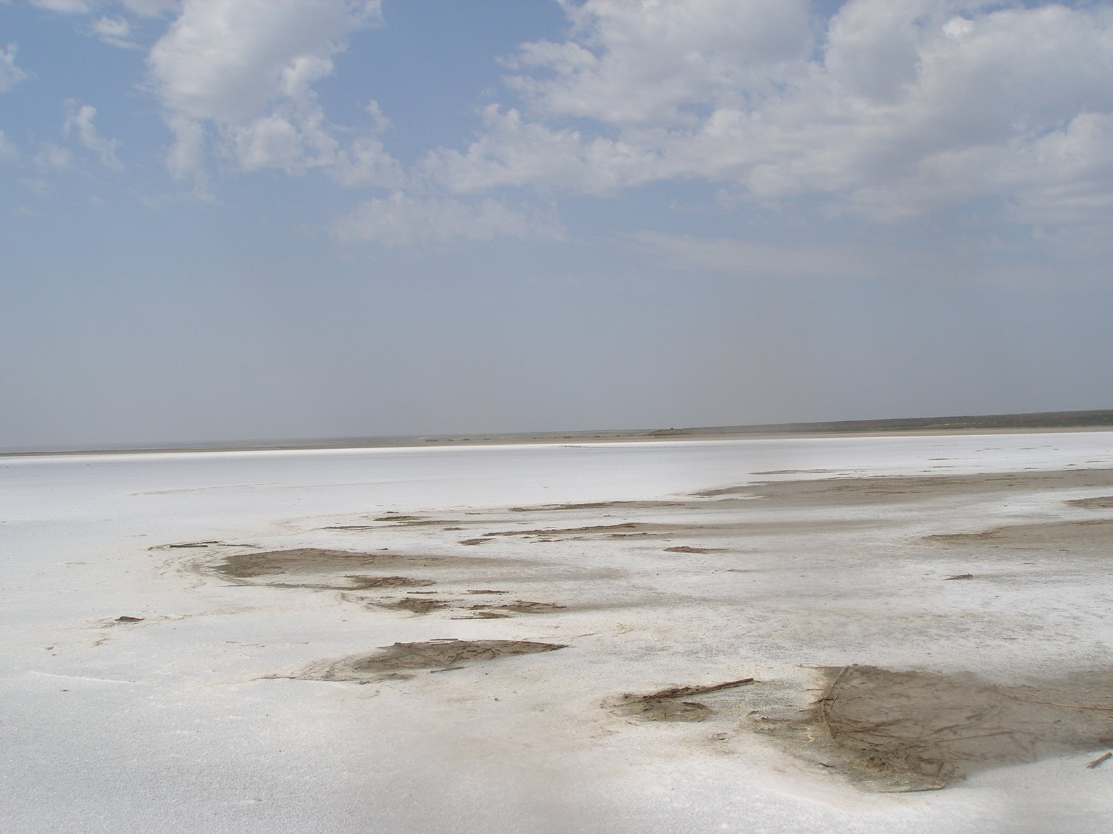 La crisi climatica e la cattiva gestione umana stanno contribuendo all’eccessiva salinizzazione che, secondo un nuovo rapporto Onu, colpisce oltre il 10% della superficie terrestre totale globale. FOTO: ©FAO/Maria Konyushkova