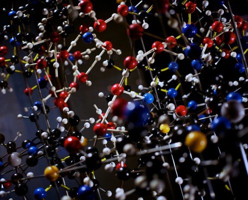 Modello di vitamina B12 realizzato da Dorothy Hodgkin (Alan Turing exhibition). Lo studio dei corrinoidi, una famiglia chiave di nutrienti di cui fa parte la stessa B12, consente di svelare le relazioni tra i microbi e il suolo. Foto: Paul Hudson Attribution 2.0 Generic CC BY 2.0 Deed
