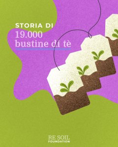 resoil tè sequestro carbonio