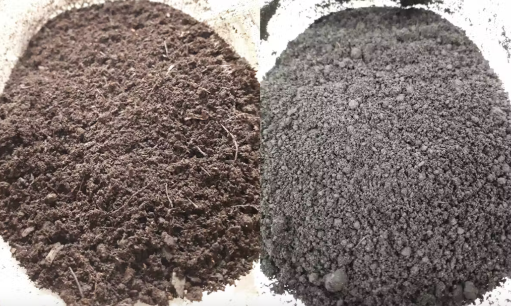 Il confronto tra un suolo scarsamente degradato (a sinistra) e un suolo gravemente degradato (a destra). FOTO: Karolane Bourdon, université Laval. 