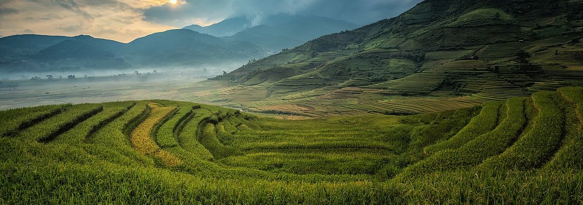 Una gestione dell’azoto basata sui principi dell’economia circolare contribuisce alla riduzione delle emissioni e al mantenimento della sicurezza alimentare. Foto: Sasin Tipchai CC0 1.0 Universal CC0 1.0 Deed