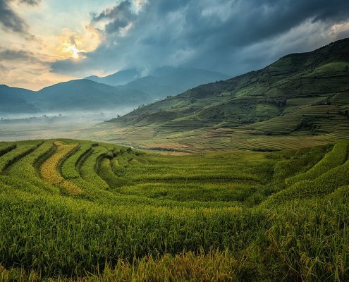 Una gestione dell’azoto basata sui principi dell’economia circolare contribuisce alla riduzione delle emissioni e al mantenimento della sicurezza alimentare. Foto: Sasin Tipchai CC0 1.0 Universal CC0 1.0 Deed