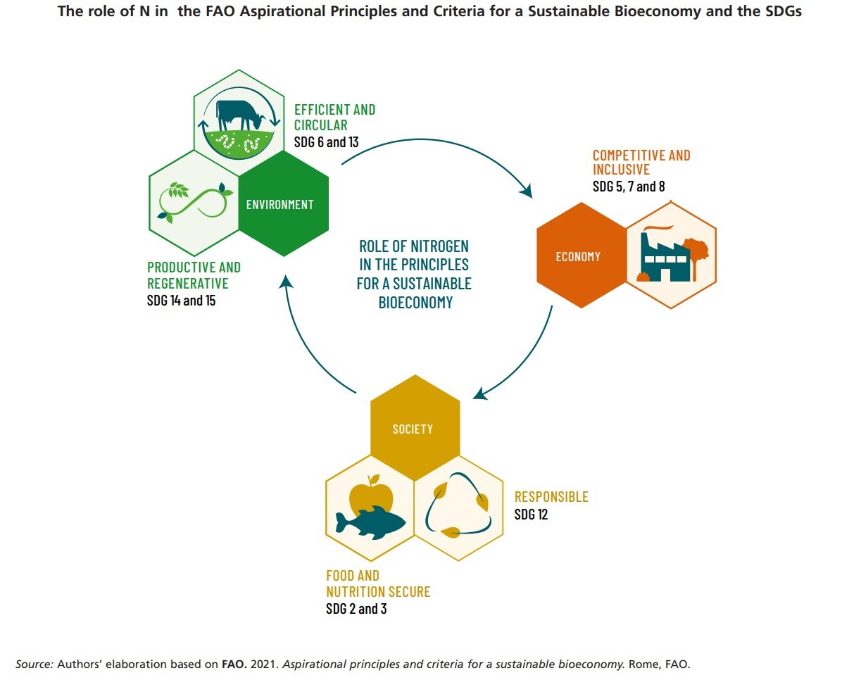 Una gestione circolare dell’azoto comporta diversi benefici per la sicurezza alimentare, l’economia e la società contribuendo al raggiungimento di molti degli Obiettivi di Sviluppo Sostenibile (Sustainable Development Goals, SDGs) delle Nazioni Unite. Fonte: FAO. 2025. Sustainable nitrogen management in agrifood systems. Rome. https://doi.org/10.4060/cd3388en Attribution 4.0 International CC BY 4.0 Legal Code