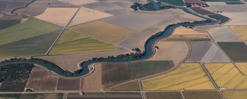Nella Central Valley della California la contaminazione da azoto rappresenta un rischio significativo. Foto: DJ Fogbound Attribution-NonCommercial-ShareAlike 2.0 Generic CC BY-NC-SA 2.0 Deed
