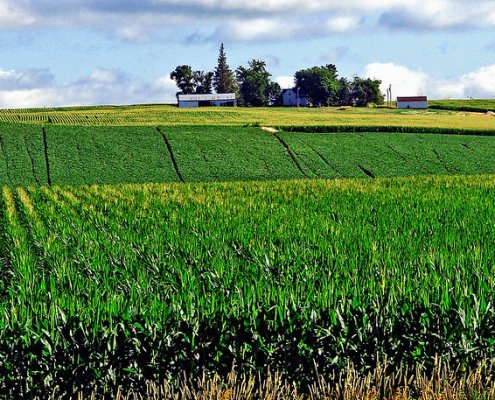 In the agricultural region of the U.S. Corn Belt, rainfall plays a key role in production and irrigation. Photo: Don Graham Attribution-ShareAlike 2.0 Generic CC BY-SA 2.0 Deed