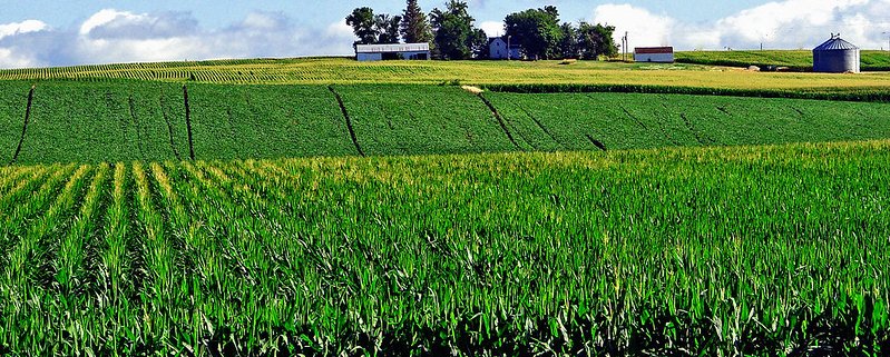 In una regione agricola come la Corn Belt degli Stati Uniti le piogge hanno un ruolo fondamentale per la produzione e l’irrigazione. Foto: Don Graham Attribution-ShareAlike 2.0 Generic CC BY-SA 2.0 Deed